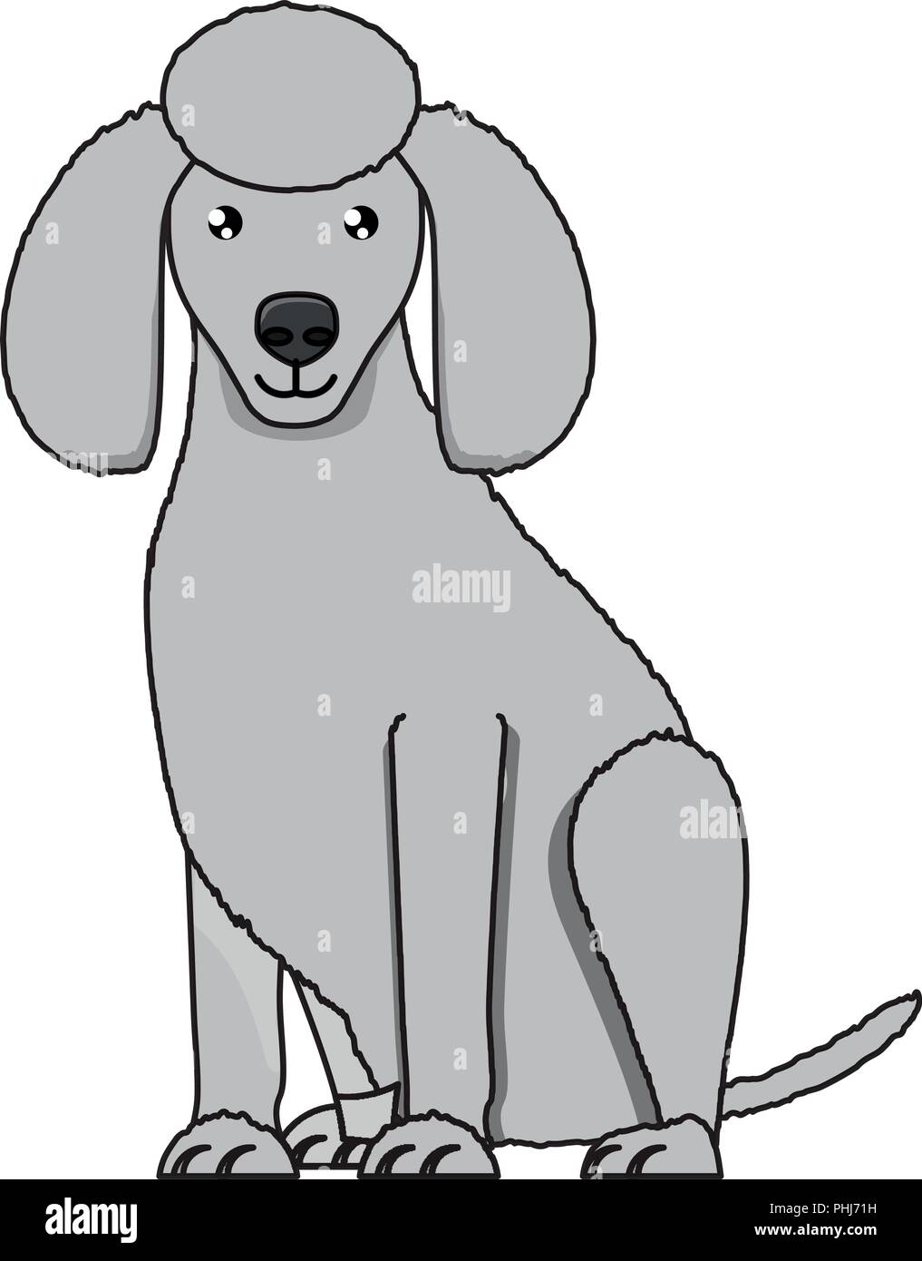 cute poodle dog icon over white background, vector illustration Stock ...