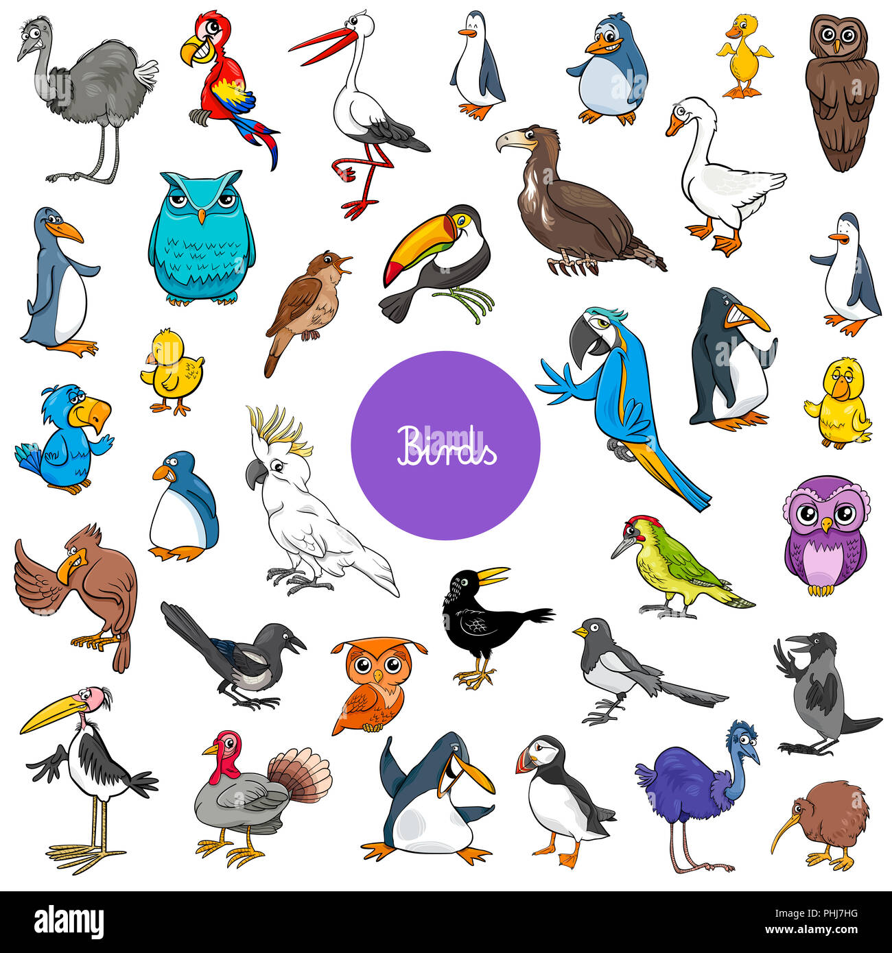 cartoon birds animal characters big set Stock Photo Alamy