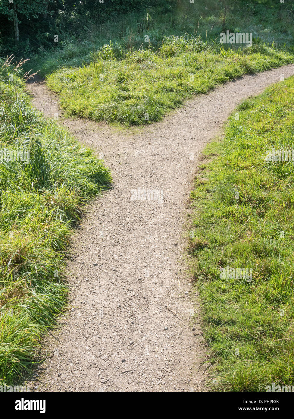 Small branching footpath - metaphor changing direction, diverging paths, alternative route, career path change, splitting up, going separate ways. Stock Photo