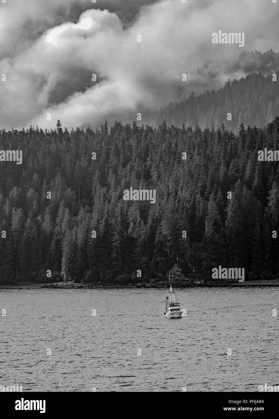 Juneau Alaska - mountain clouds drift over Alaskan trees during a cruise ship sightseeing excursion - summer Alaskan landscape at sunrise Stock Photo