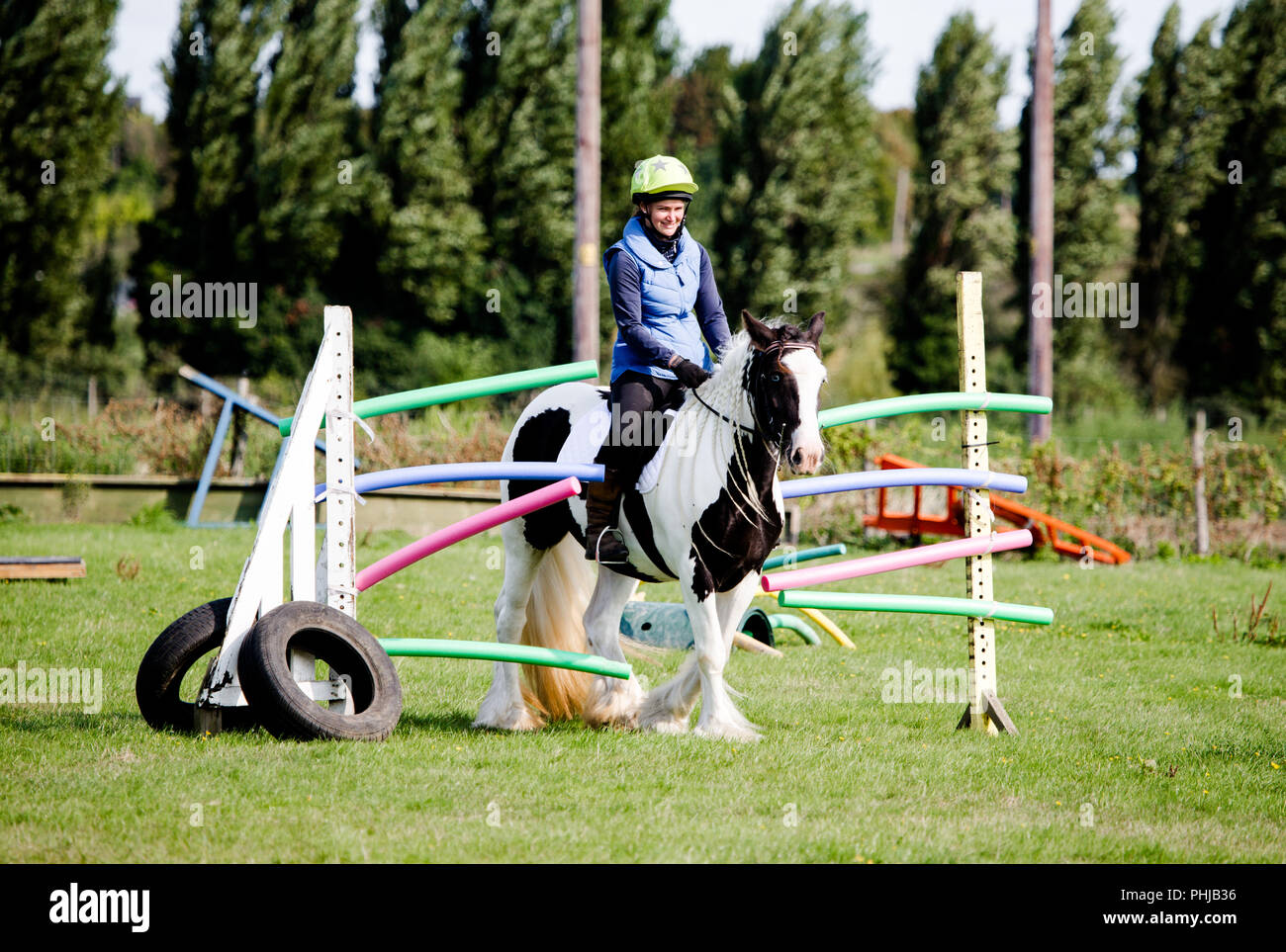 Horse agility where a horse is set obstacles that help it get used to things brushing against them also underfoot in a controlled environment. Stock Photo