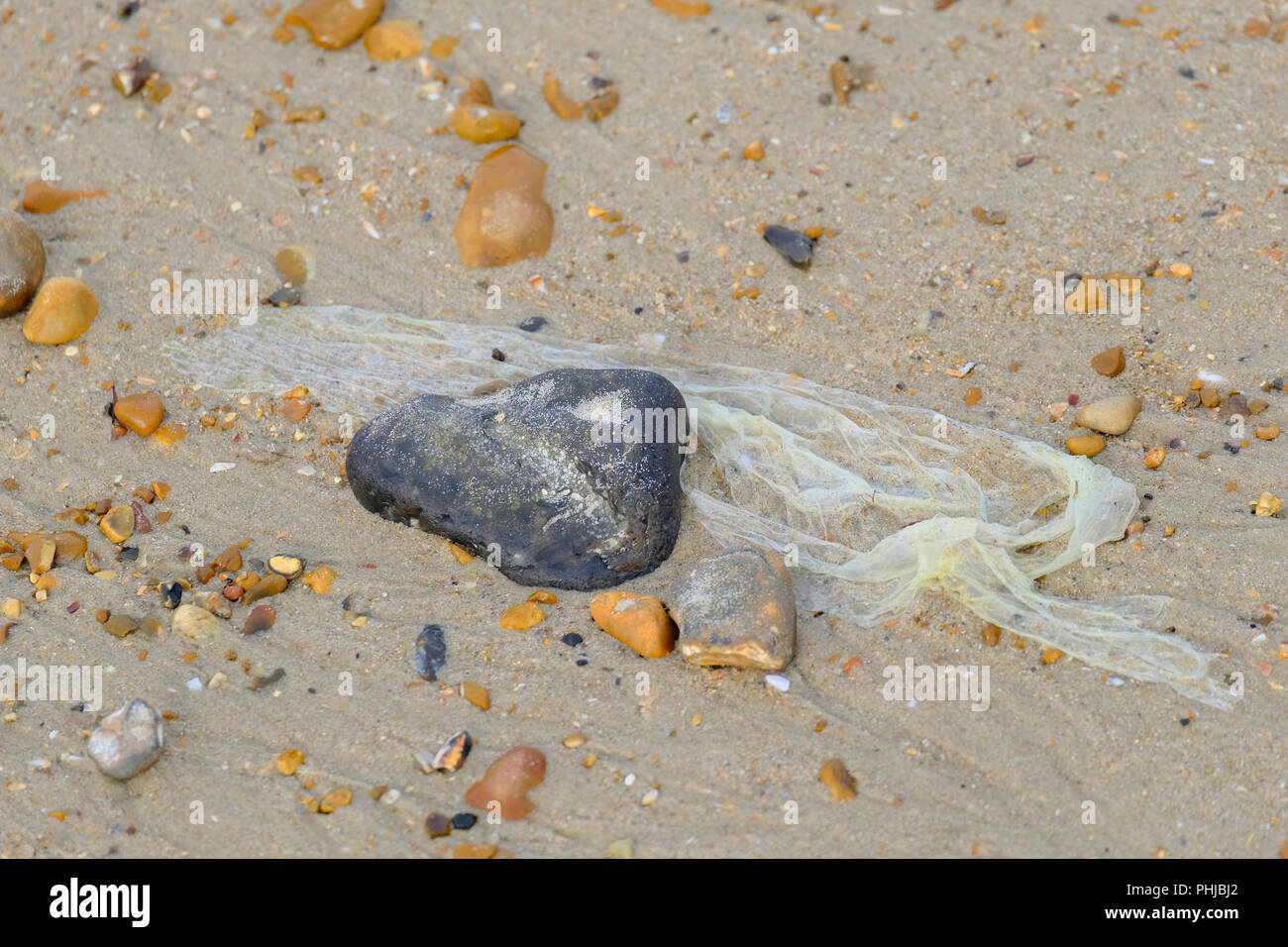 Grey and white pebble on beach draped with polythene bag washed up at low tide. Stock Photo