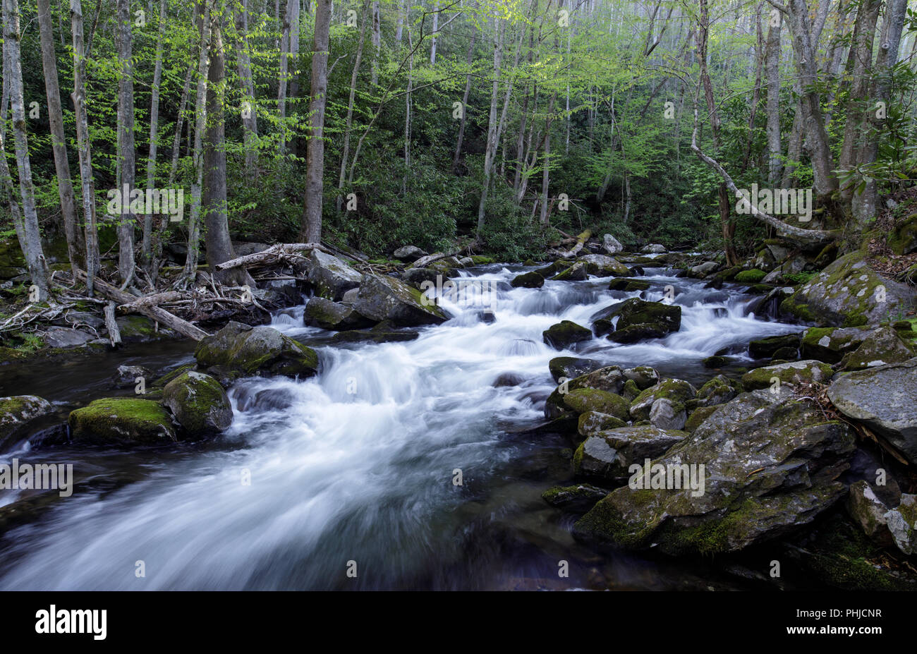 South prong trail hires stock photography and images Alamy