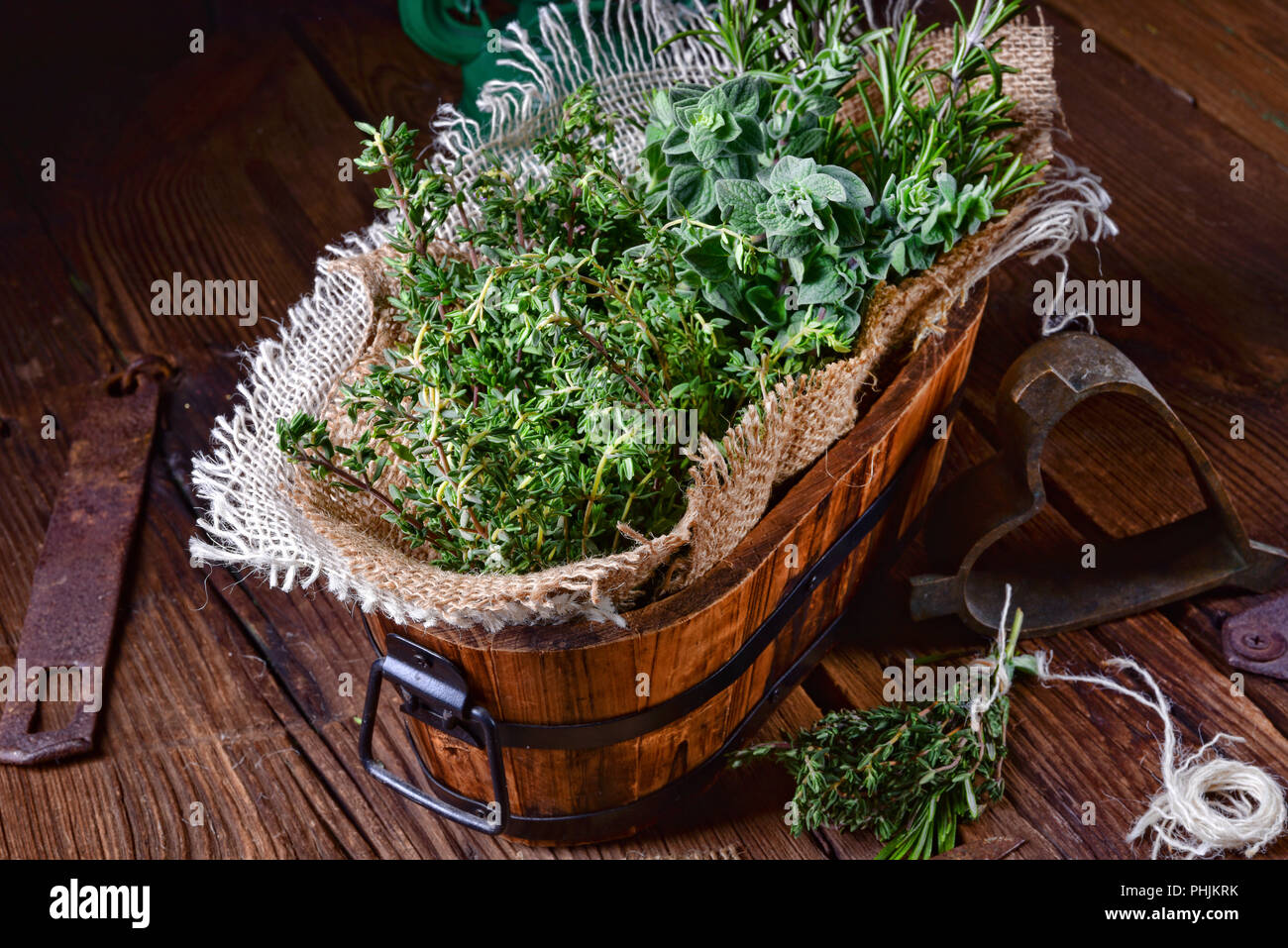 Herbal collection of: thyme,oregano, rosemary Stock Photo - Alamy