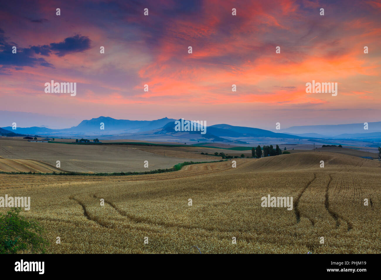 Sunset and cereal farmland. Tierra Estella. Navarre, Spain, Europe. Stock Photo