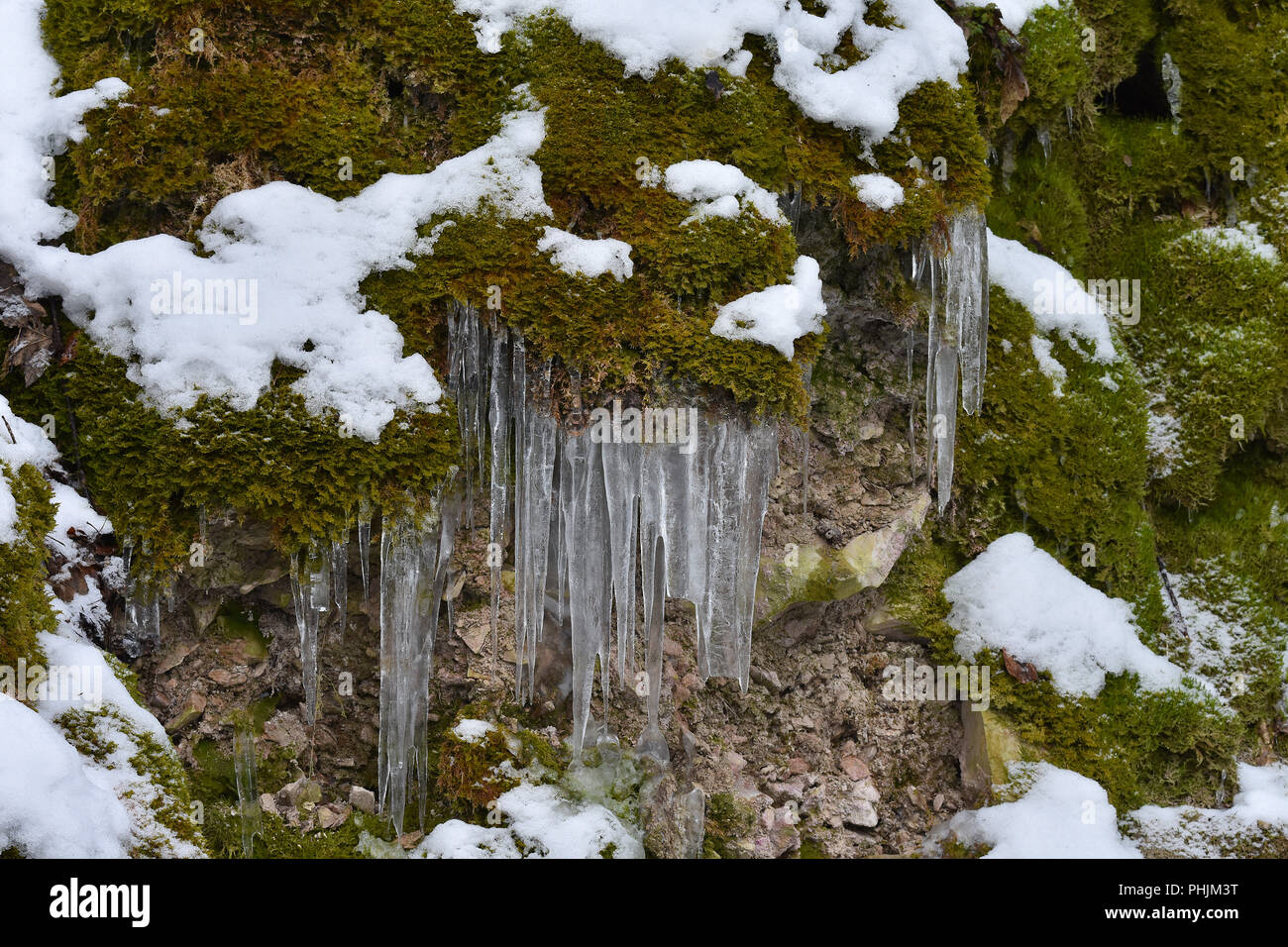 icicle; on moss; swabian alps; Germany; Stock Photo