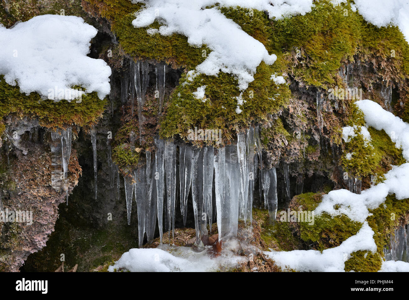 icicle; on moss; swabian alps; Germany; Stock Photo
