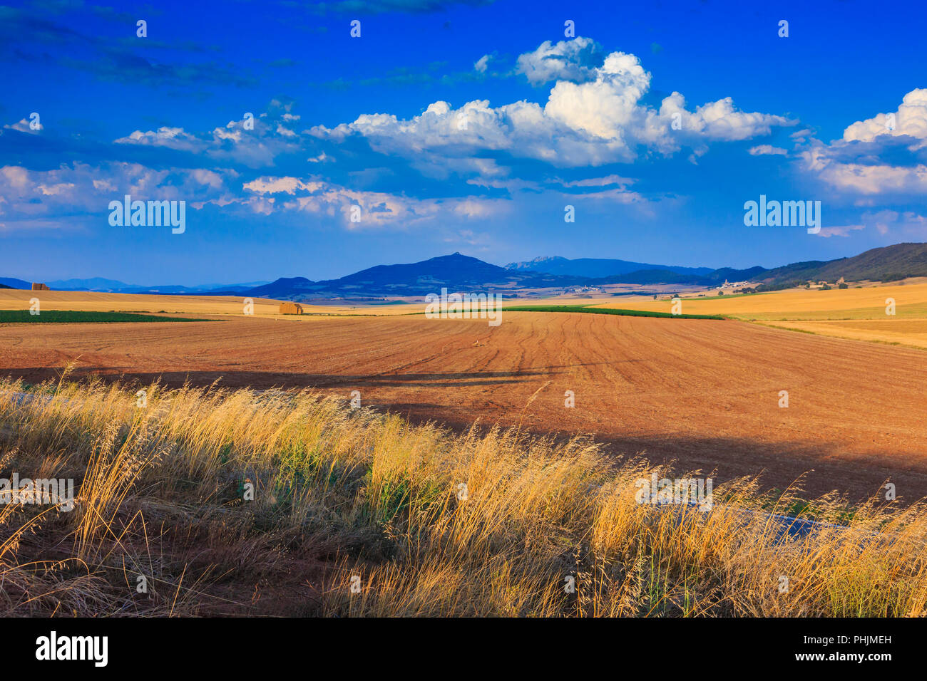 Farmland. Stock Photo