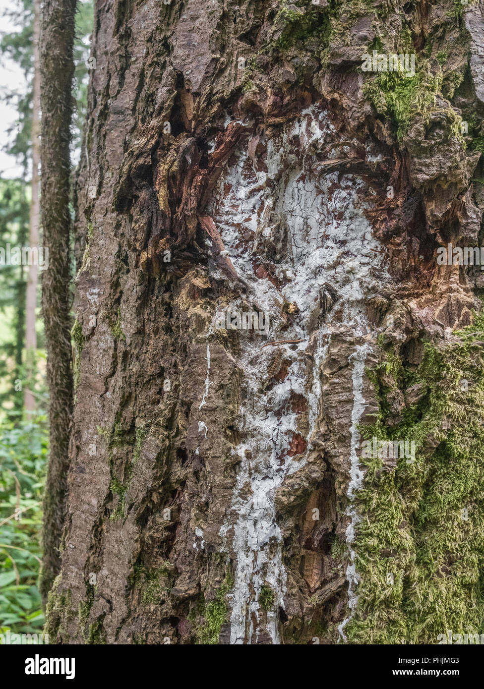 Flammable natural materials hires stock photography and images Alamy