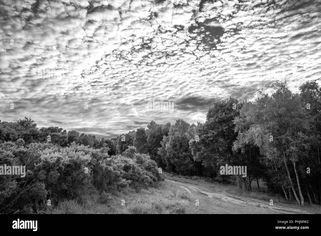 Stunning mackerel sky cirrocumulus altocumulus cloud formations in Summer sky landscape black and white image Stock Photo