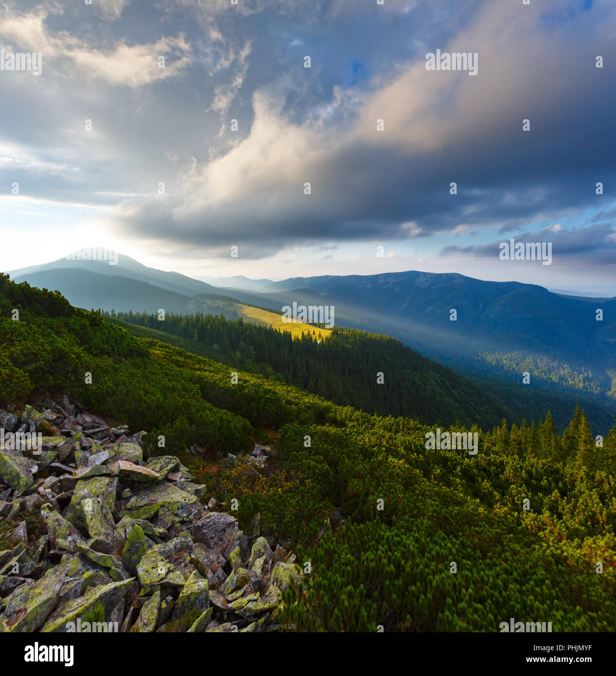 Summer Carpathian mountain, Ukraine Stock Photo