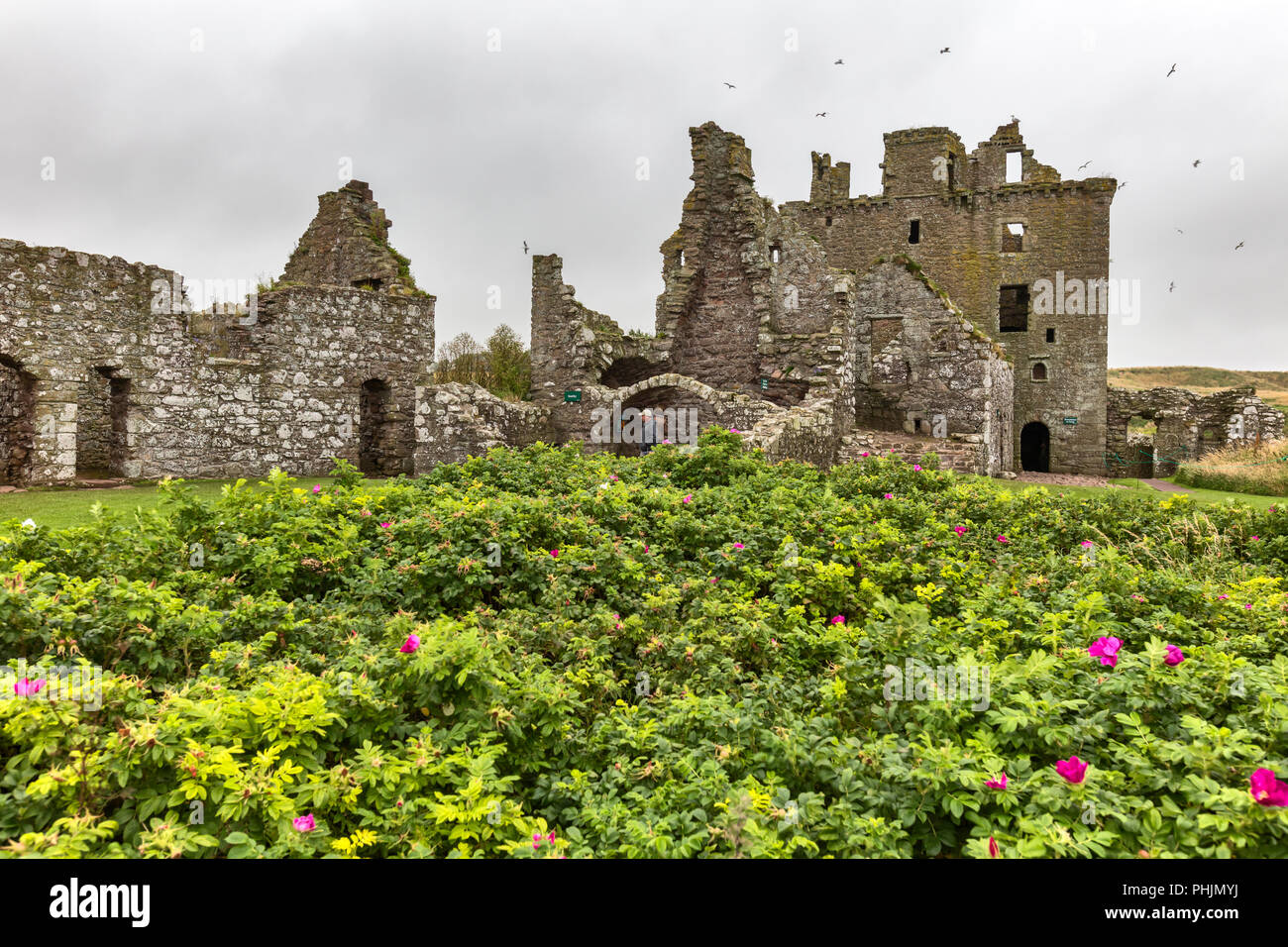 Dunnottar castle, Kincardineshire, Scotland, UK Stock Photo - Alamy
