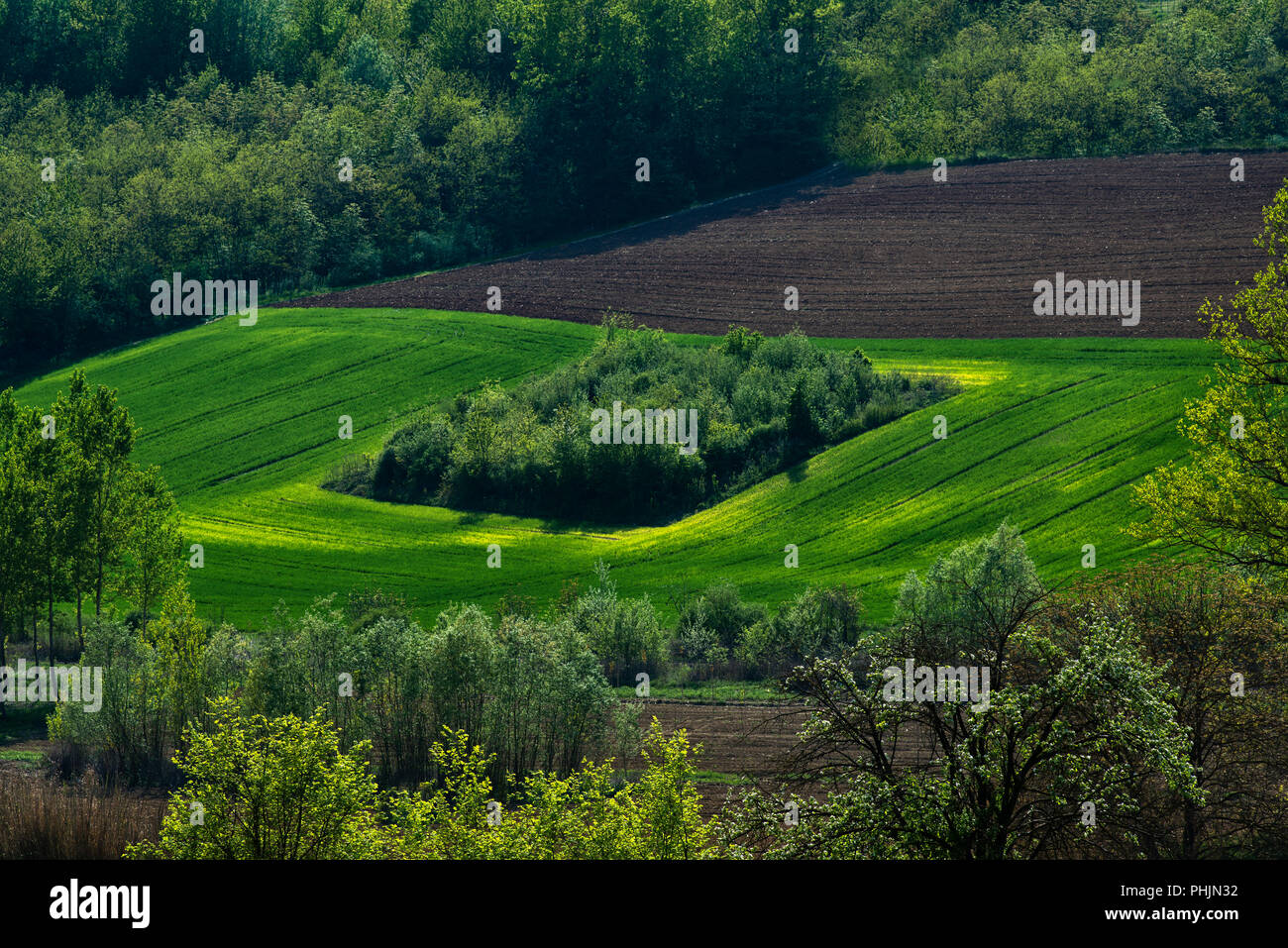 View on hills with cultivated land and woods, in the center an island of trees Stock Photo