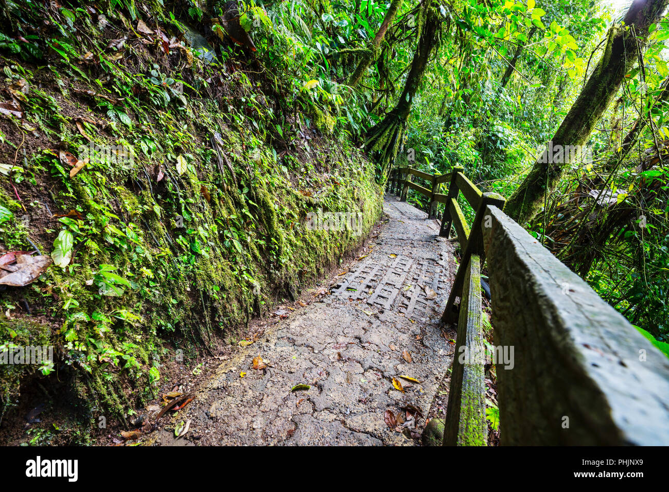 Hike in Costa Rica Stock Photo Alamy
