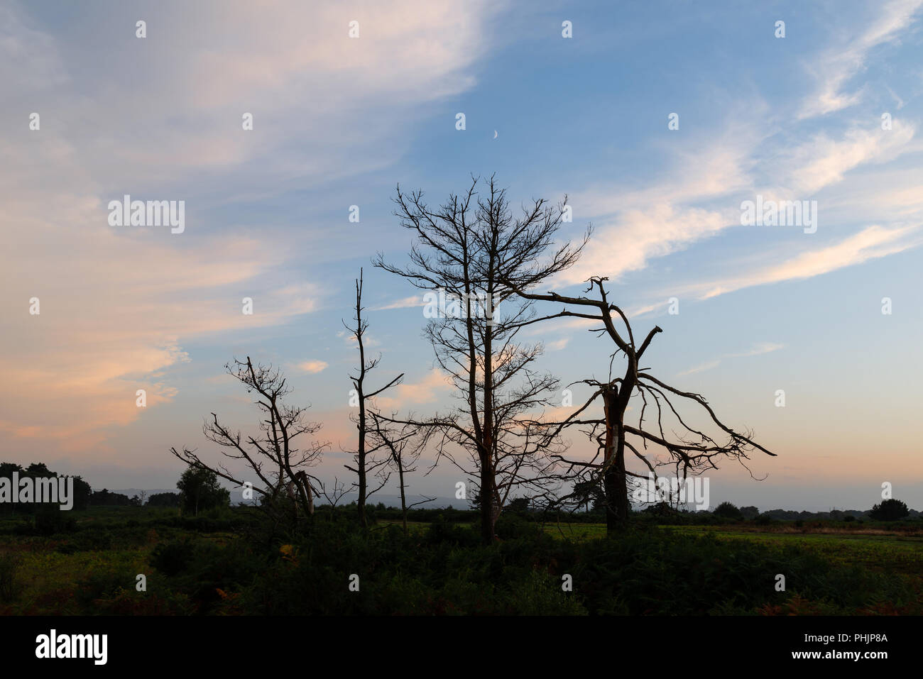 Ashdown Formation High Resolution Stock Photography and Images - Alamy