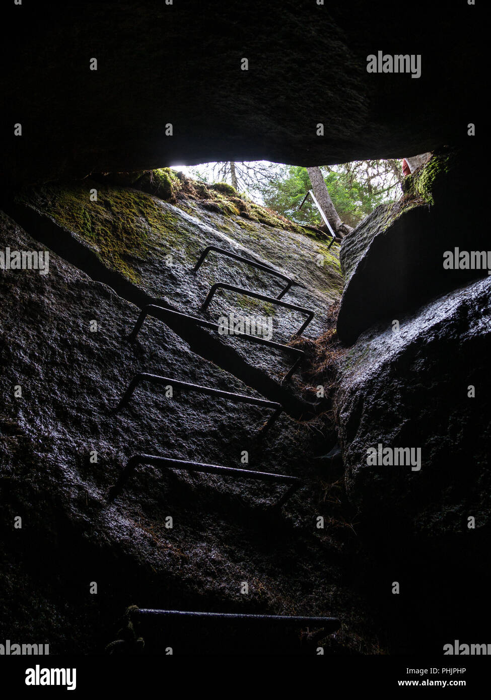 Interior of Cave, Looking Out to Forest, Metal Ladder in Stone Stock Photo