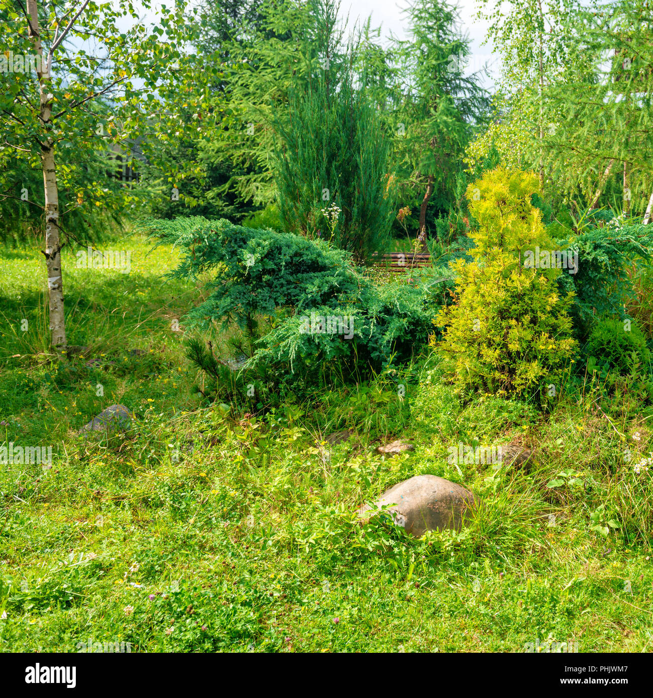 Garden green park hi-res stock photography and images - Alamy