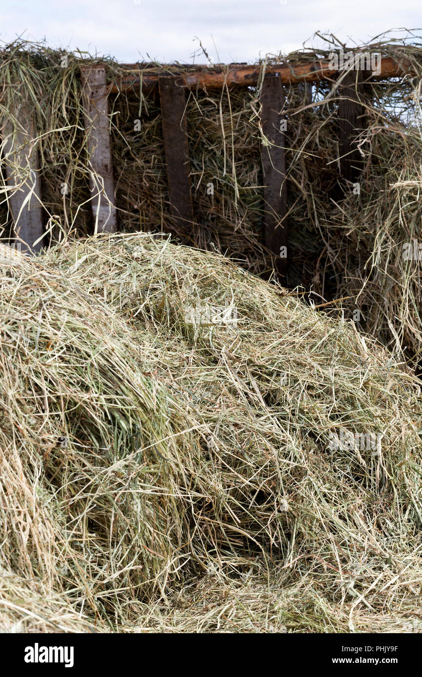 Old Wooden Stall Hay On Stock Photos Old Wooden Stall Hay On
