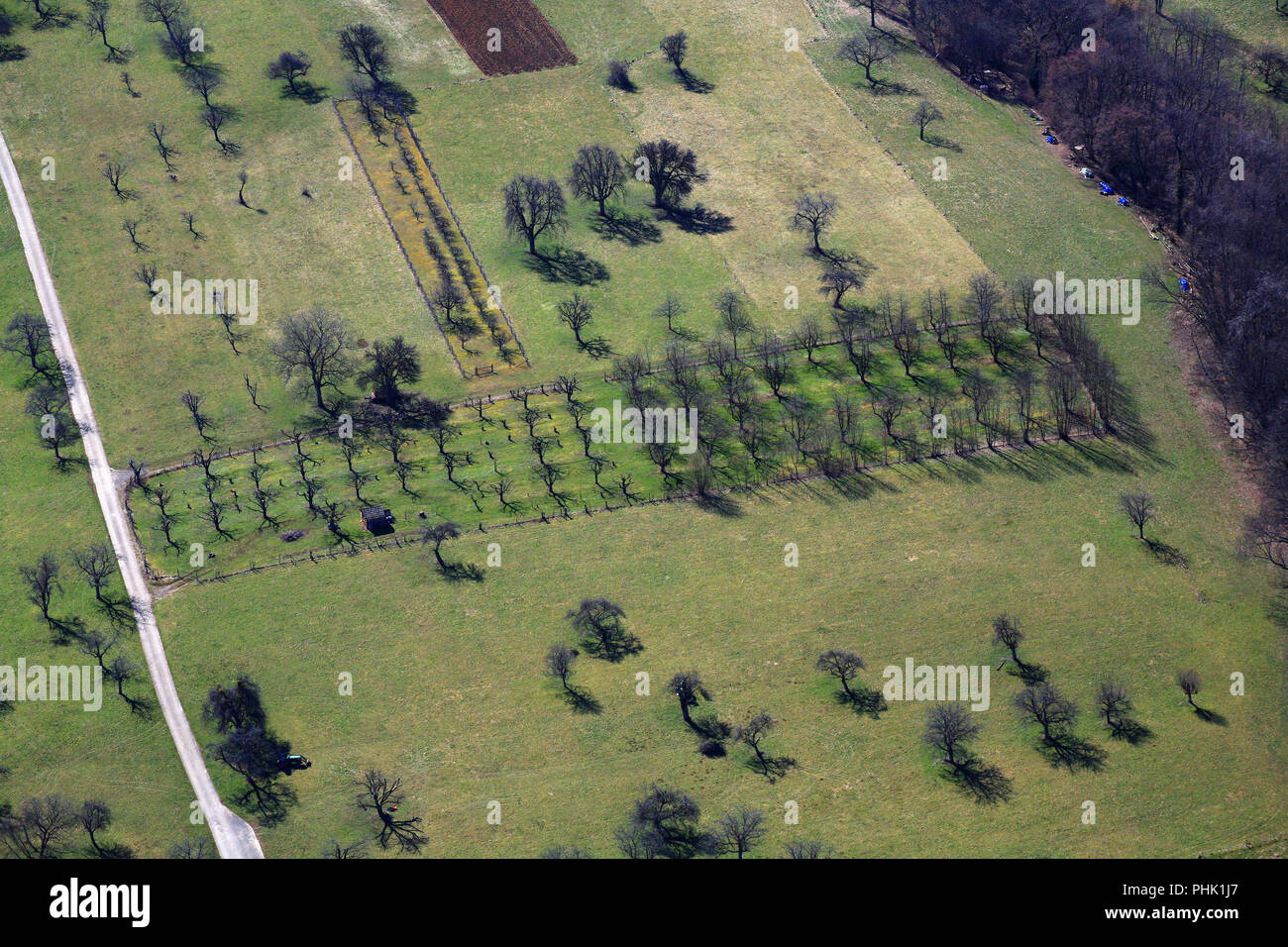 Fruit plantation and meadow orchards Stock Photo