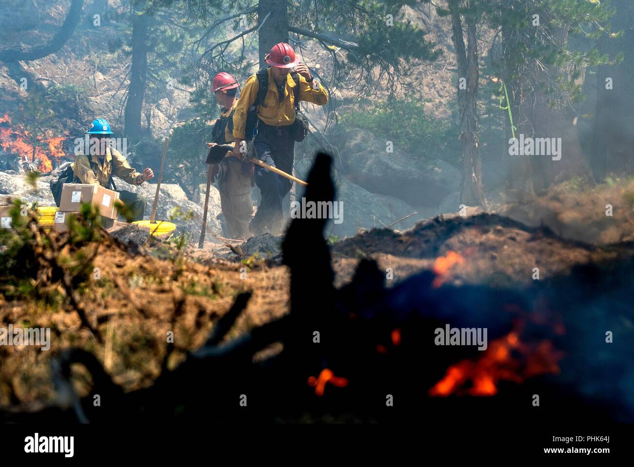 Backcountry firefighters battle the Donnell Fire in Stanislaus National Forest August 12, 2018 near Sonora, California. The wildfire burned 36,335 acres and destroyed 54 major structures across Northern California. Stock Photo
