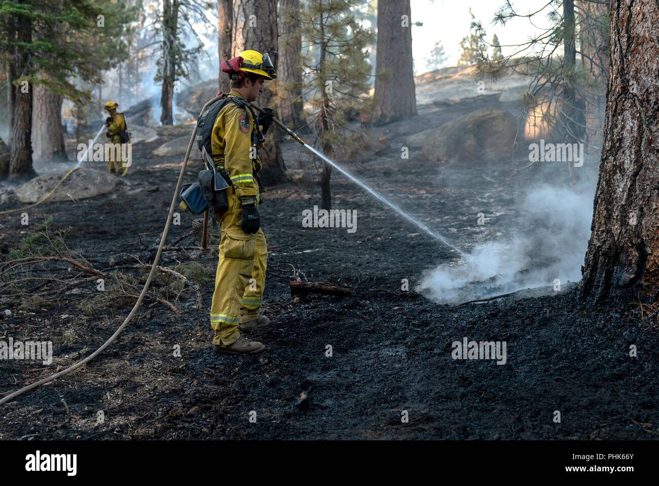 Cal State firefighters, work dousing embers at the Donnell Fire in Stanislaus National Forest August 12, 2018 near Sonora, California. The wildfire burned 36,335 acres and destroyed 54 major structures across Northern California. Stock Photo