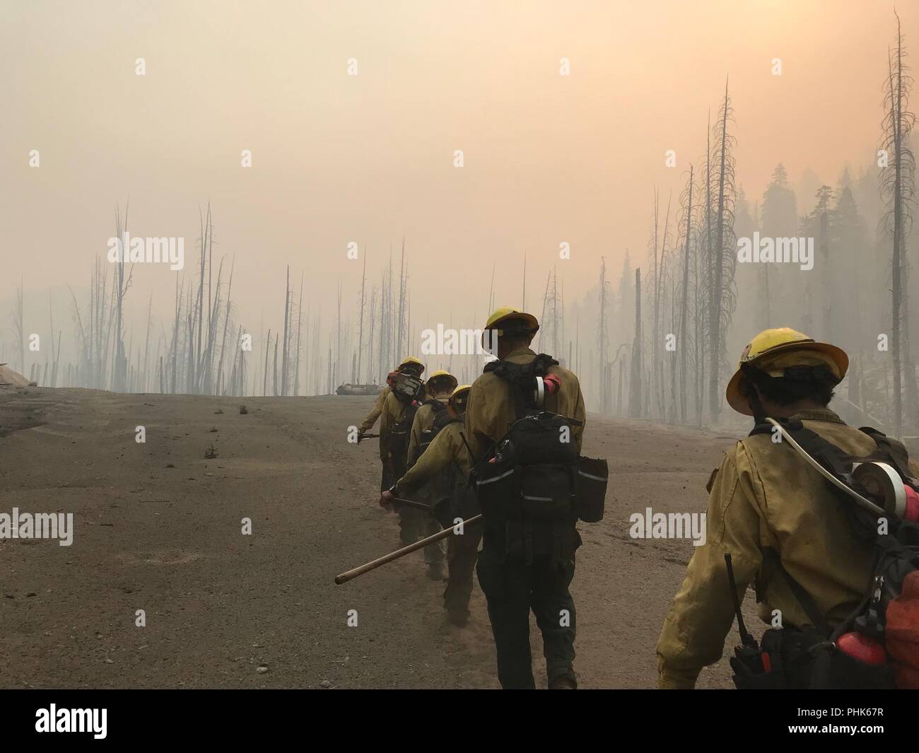 Backcountry firefighters battle the Donnell Fire in Stanislaus National Forest August 18, 2018 near Sonora, California. The wildfire burned 36,335 acres and destroyed 54 major structures across Northern California. Stock Photo
