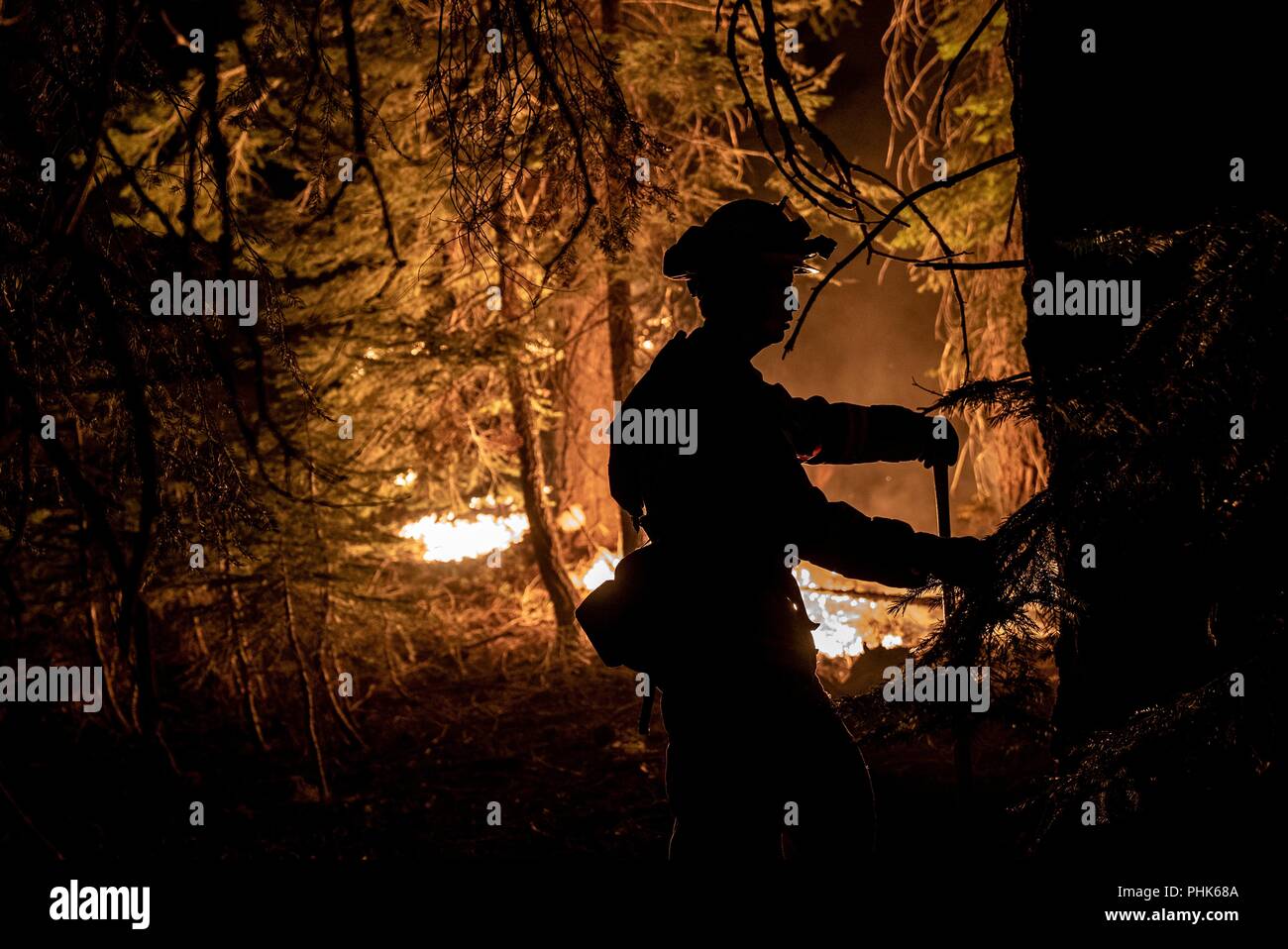 Cal State firefighters, work dousing embers at the Donnell Fire in Stanislaus National Forest August 12, 2018 near Sonora, California. The wildfire burned 36,335 acres and destroyed 54 major structures across Northern California. Stock Photo