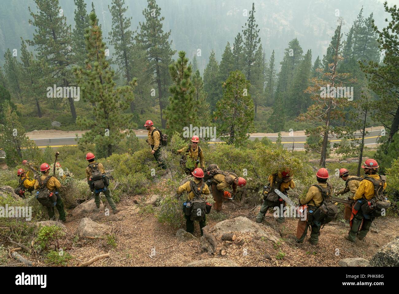 Stanislaus Hot Shot Crew firefighters clear out vegetation to mitigate fire progression at the Donnell Fire in Stanislaus National Forest August 11, 2018 near Sonora, California. The wildfire burned 36,335 acres and destroyed 54 major structures across Northern California. Stock Photo