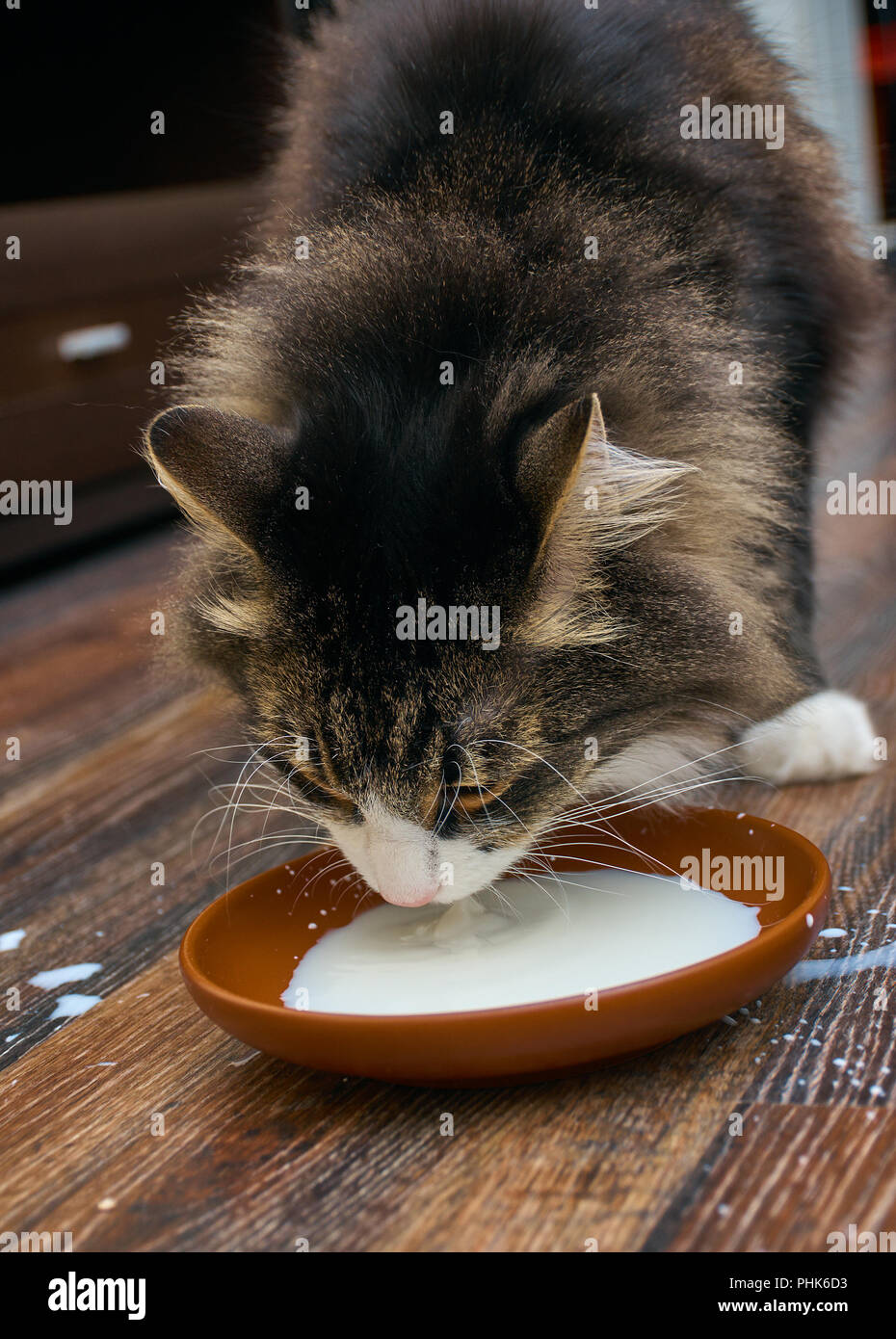 Drinking food hires stock photography and images Alamy
