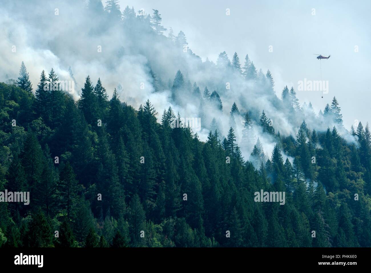 A helicopter carries a bambi bucket with water onto the forest fires at the Mendocino National Forest August 16, 2018 near Willows, California. The Mendocino Complex fire destroyed 157 homes, killed one firefighter and burned 459,102 acres becoming the largest wildfire in California history. Stock Photo