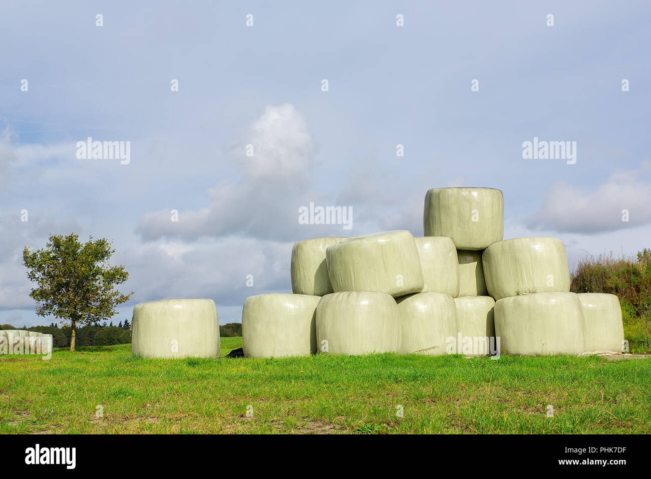 Group of hay bales in meadow Stock Photo