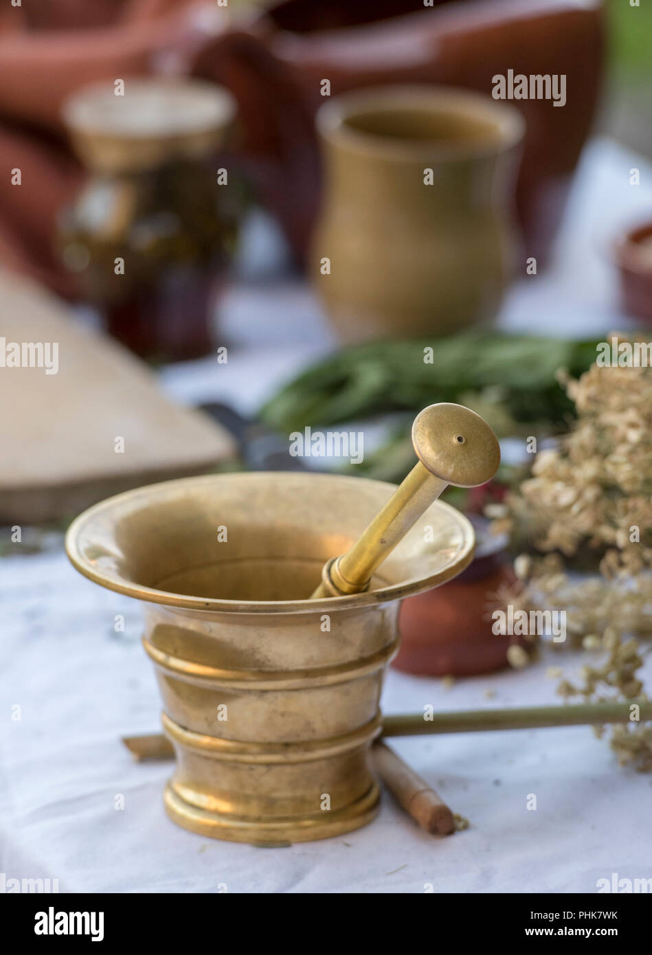 a mortar and pestle at an apothecary or traditional chemist with herbs