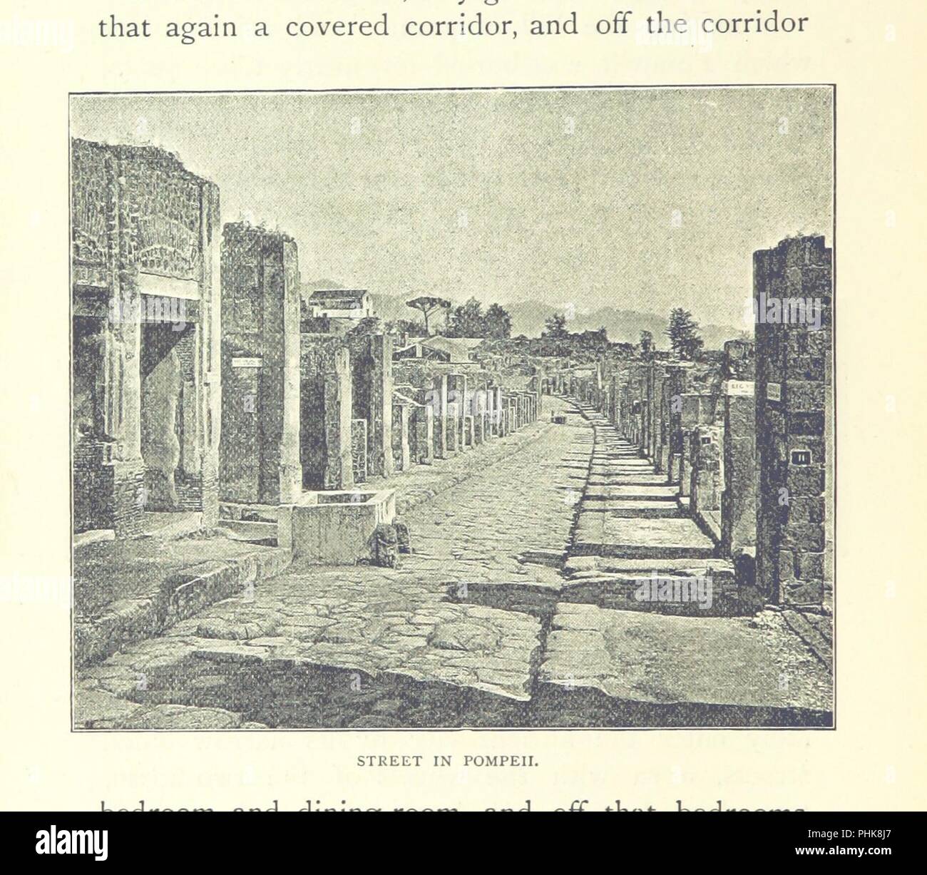 Image  from page 208 of 'Homeward Bound after Thirty Years. A colonist's impressions of New Zealand, Australia, Tangier and Spain ... With ... illustrations' . Stock Photo