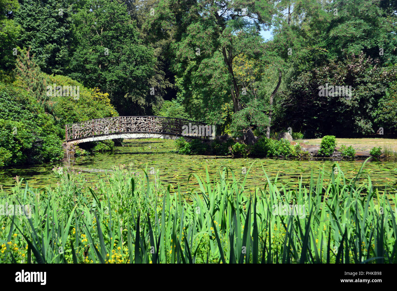 The Wooden Bridge over the Pond in the Japanese Garden at Tatton Park, Knutsford, Cheshire, England, UK. Stock Photo