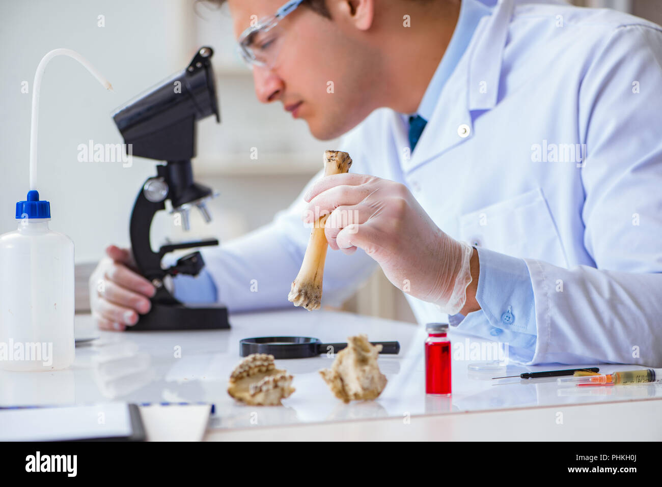 Paleontologist hires stock photography and images Alamy
