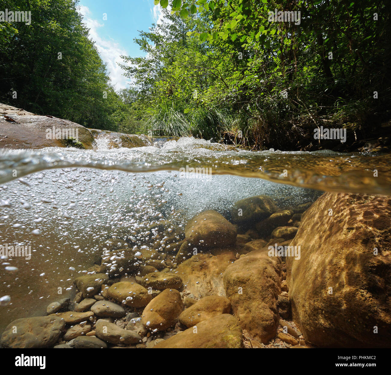 Stream with vegetation and rocks with air bubbles underwater, split view above and below water surface, La Muga, Girona, Alt Emporda, Catalonia, Spain Stock Photo