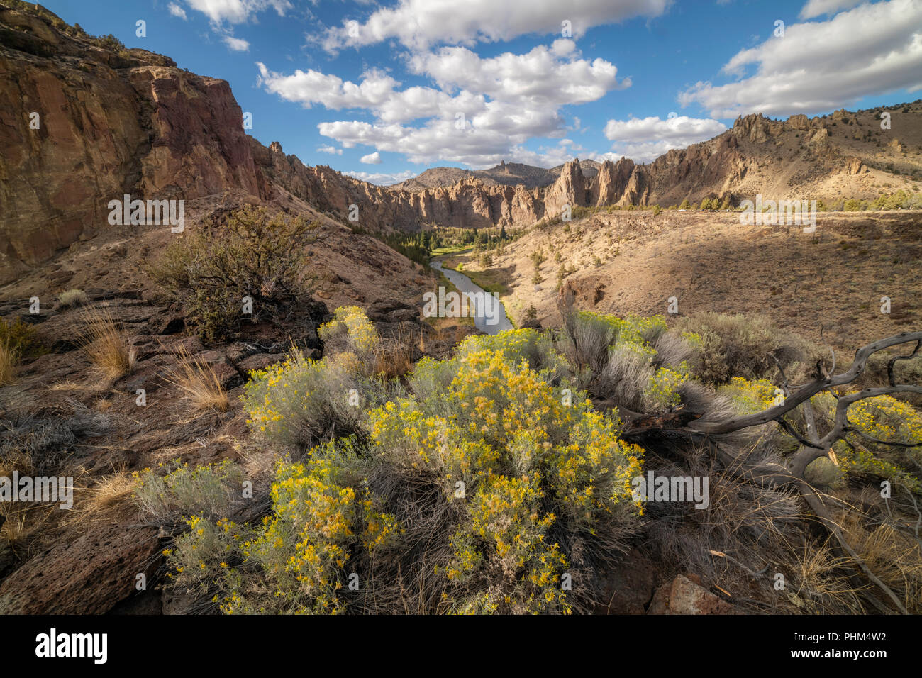 Smith Rock State Park, rabbitbrush and the Crooked River Stock Photo