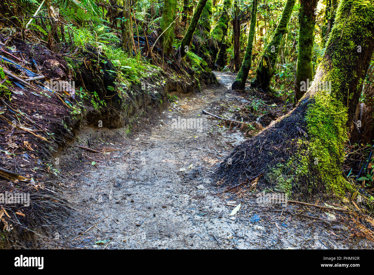 single track mountain bike trails