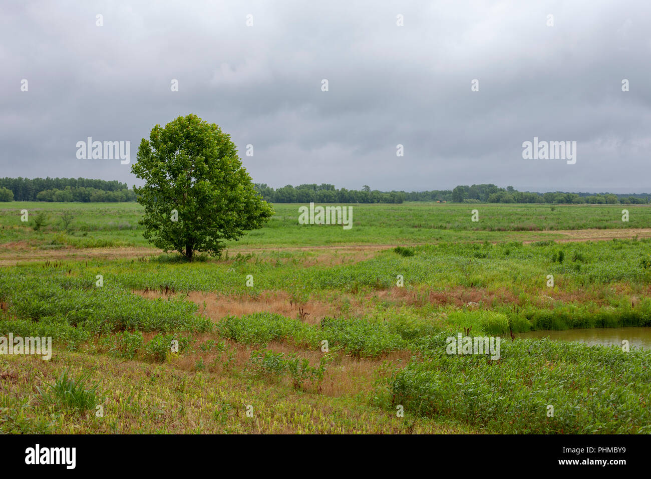 Scenes from the Clarence Cannon National Wildlife Refuge Area in Pike County, Missouri. Stock Photo