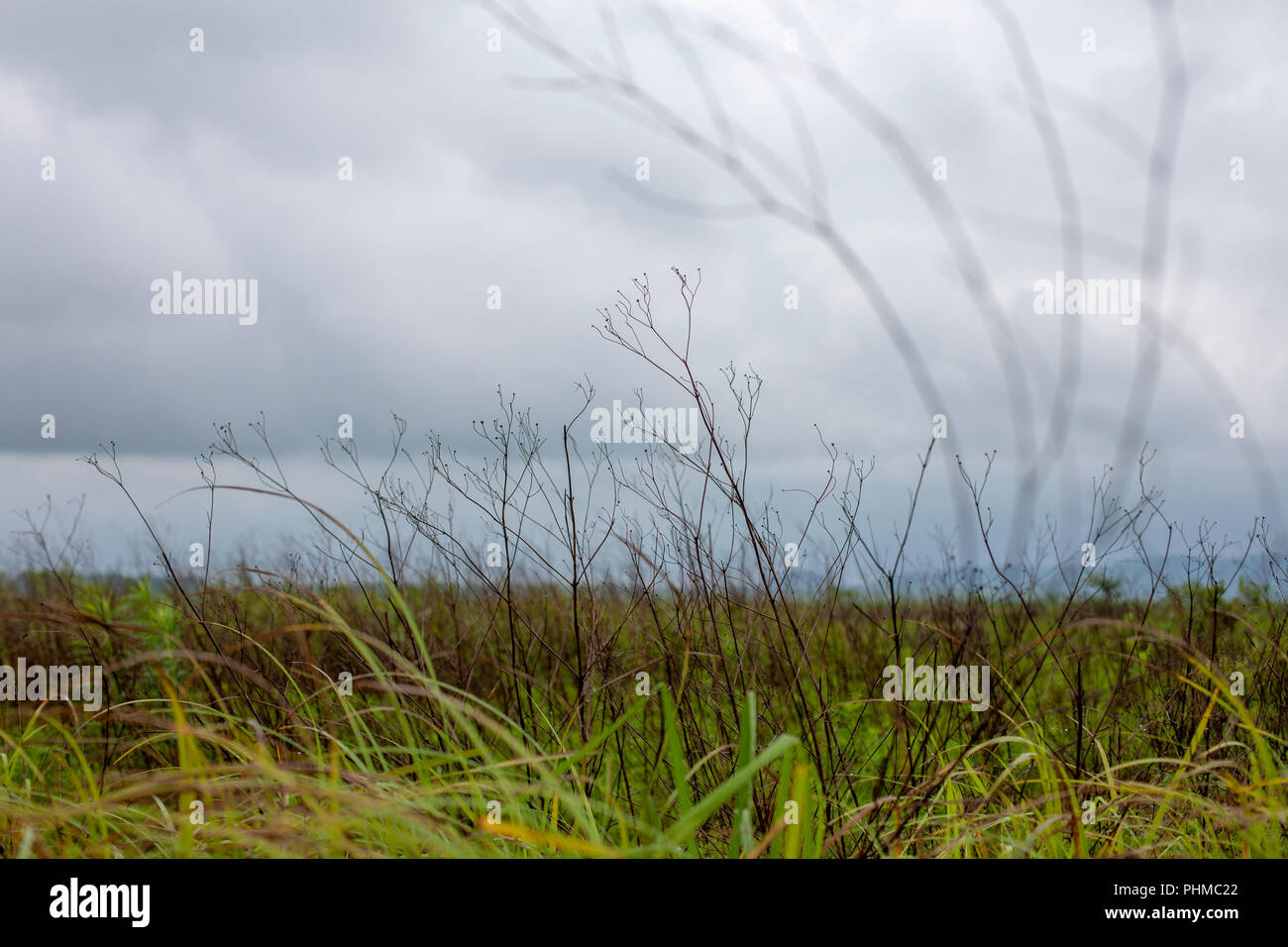 Scenes from the Clarence Cannon National Wildlife Refuge Area in Pike County, Missouri. Stock Photo