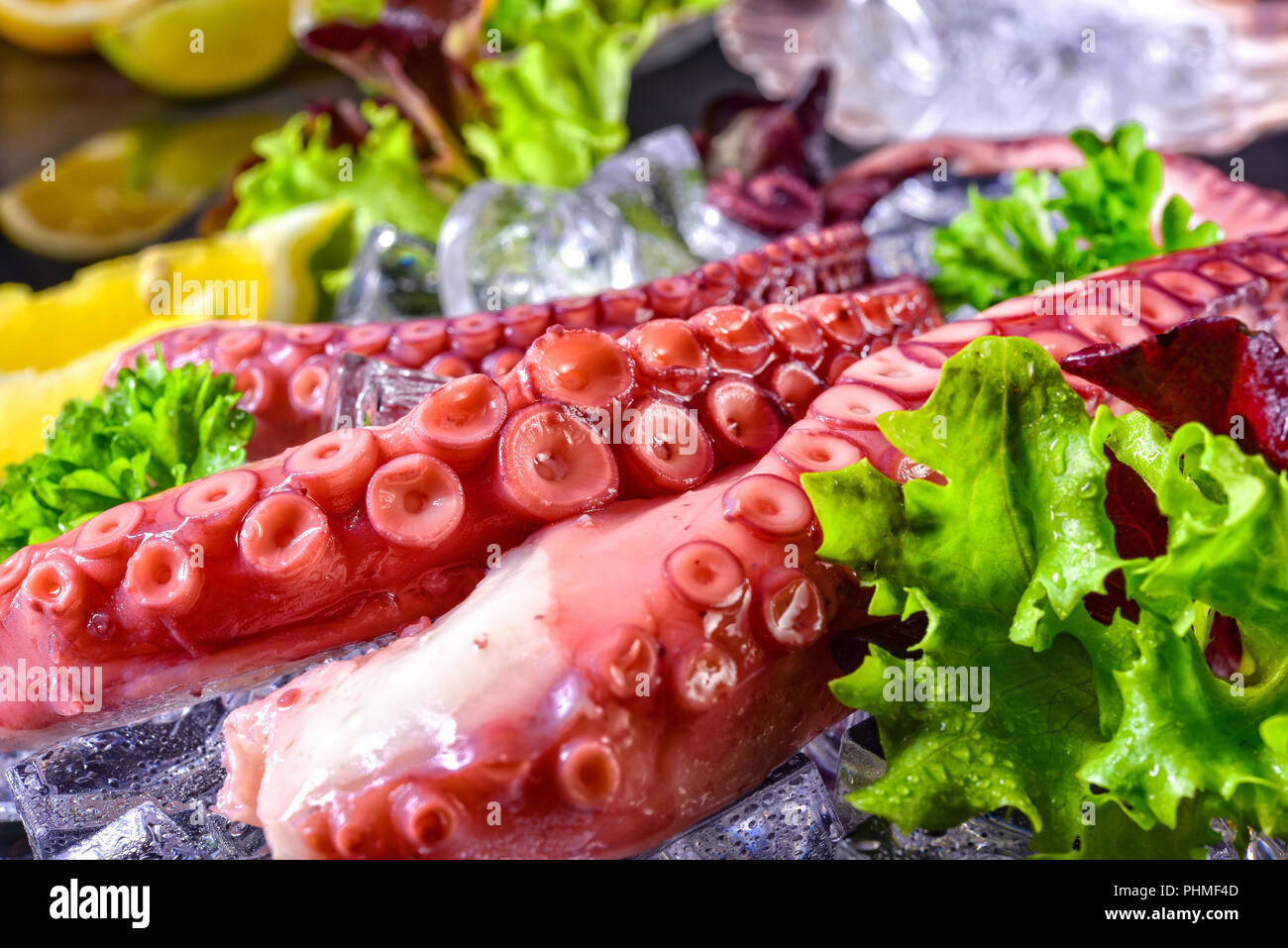 raw octopus on the ice Stock Photo Alamy