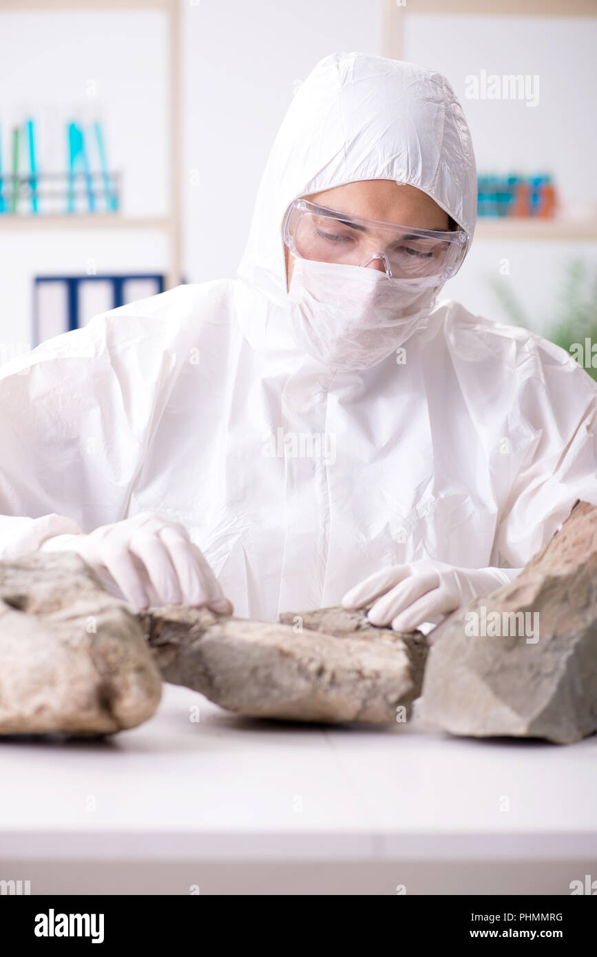 Scientist looking and stone samples in lab Stock Photo - Alamy