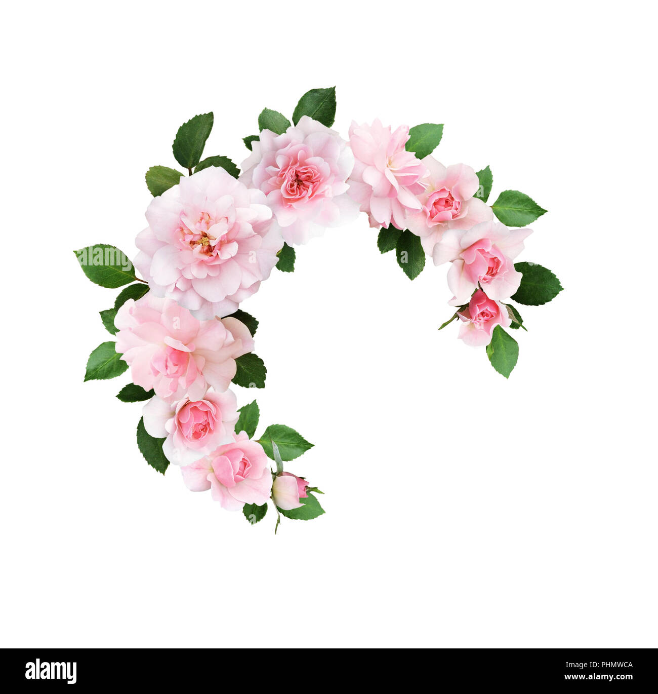 Pink rose flowers and green leaves in a round floral arrangement ...