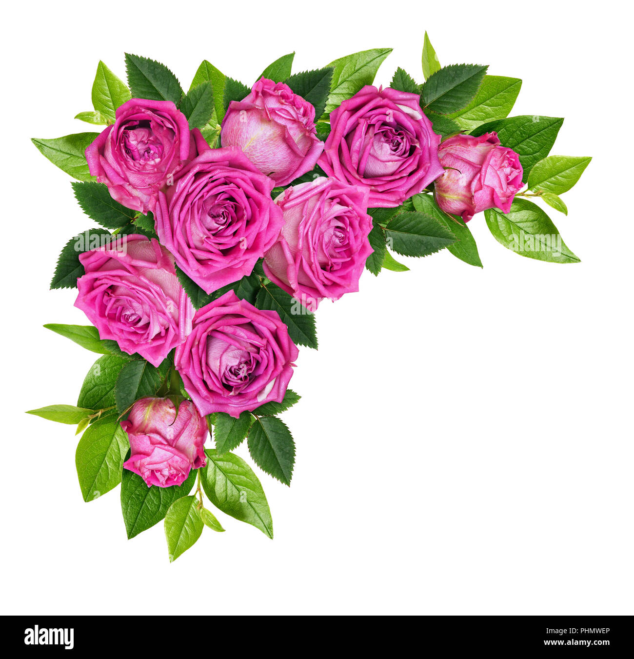 Pink rose flowers and green leaves in a corner floral arrangement ...