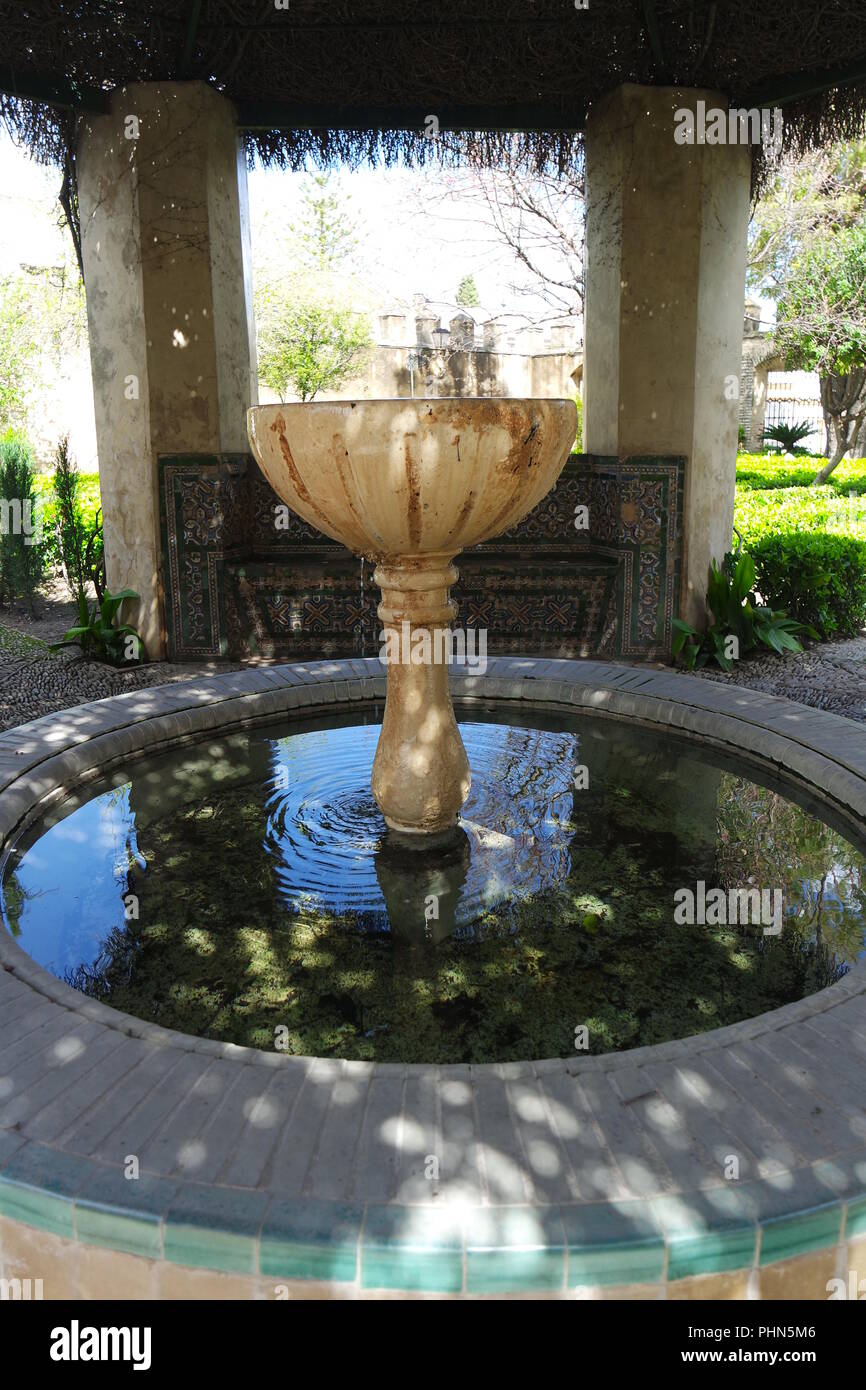 Water fountain in the park Stock Photo - Alamy