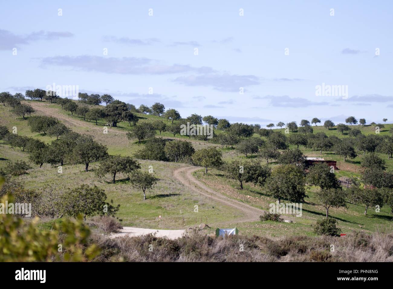 Portugal, Town Castro Marim, Algarve Stock Photo