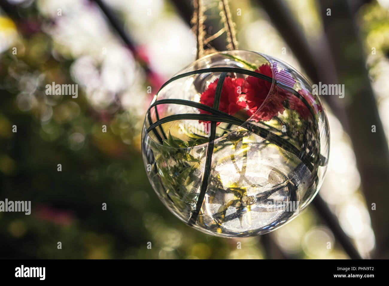 crystal glass ball flower Stock Photo Alamy