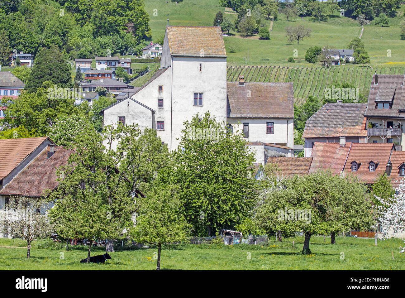 stellenangebote kanton aargau
