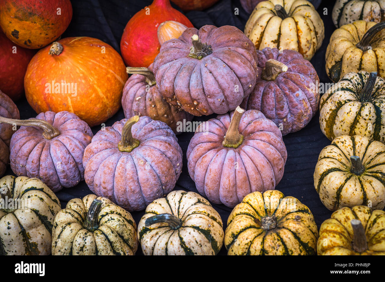 Collection of pumpkins at a farmers market Stock Photo - Alamy