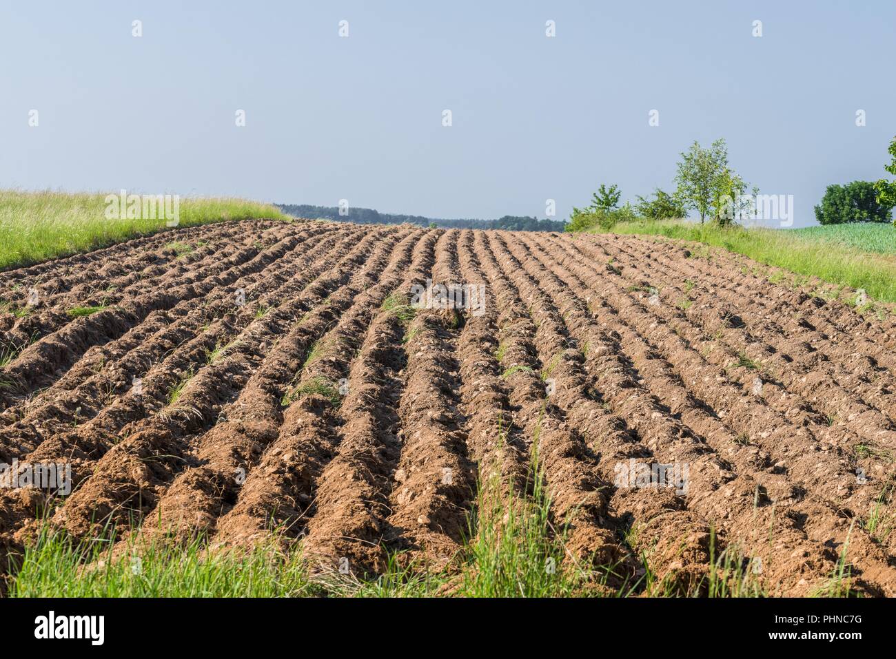 Plowed field in spring, Germany Stock Photo